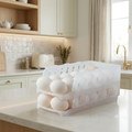 Aura DualTier Egg Storage Box